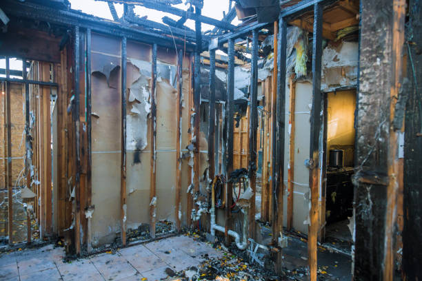 Professional Fire Damage Removal technician working in Riva, MD