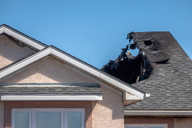 Top rated local Fire Damage Removal specialists in Riva, MD